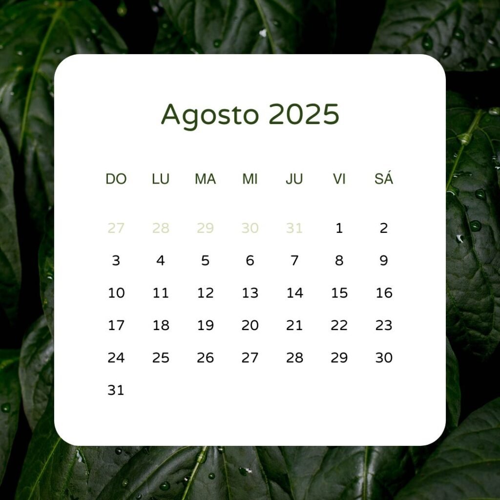 Agosto 2025